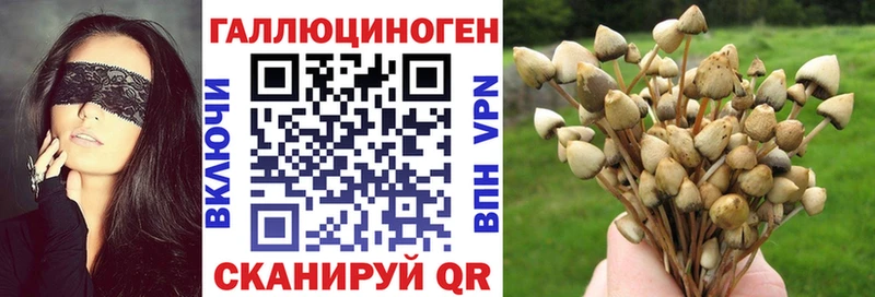 мориарти формула  Каспийск  Псилоцибиновые грибы Magic Shrooms  купить  