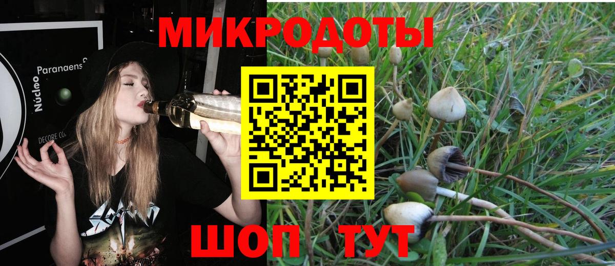 Галлюциногенные грибы мицелий  Галлюциногенные грибы GOLDEN TEACHER  Вход с VPN  Каспийск 